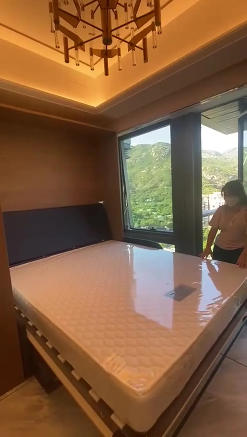 Luxury HK flat wall bed with mountain view